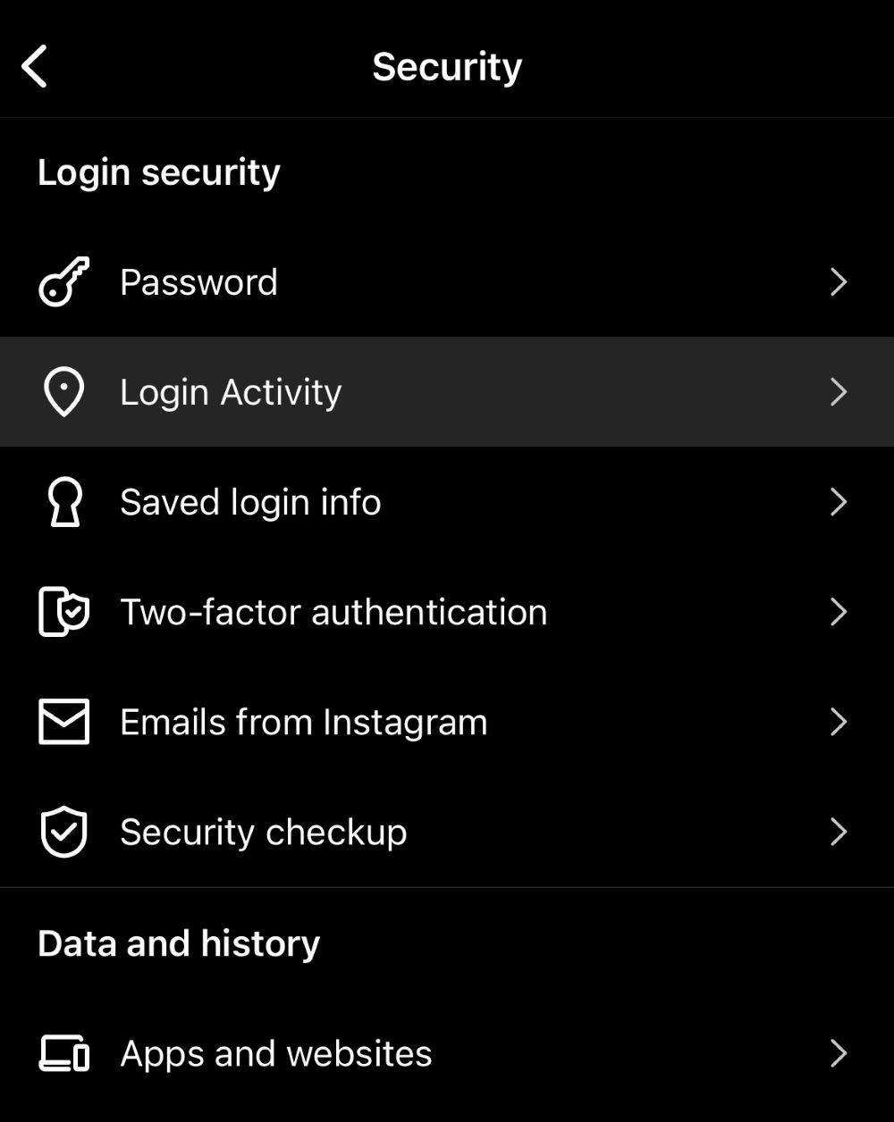 Login Activity under the Password Option