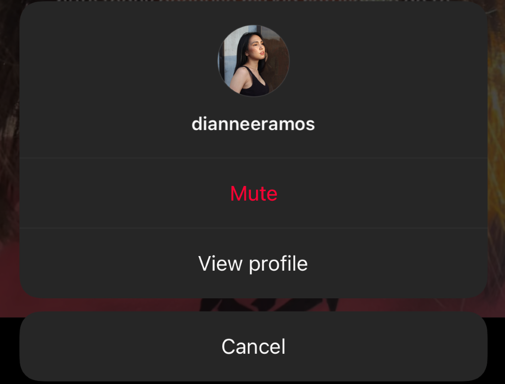 View Profile and Mute